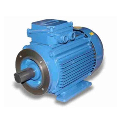 Elektrim Motor B34