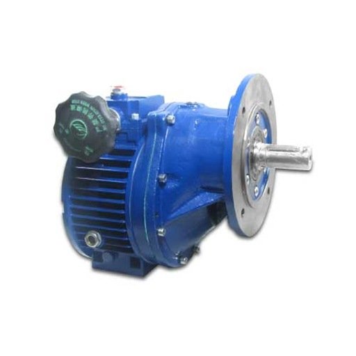 Variator Flange Mounting